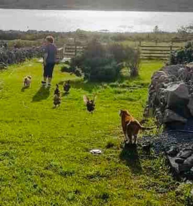 Curlews Rest - Gateway To The Aran Islands Daire Galway Dış mekan fotoğraf