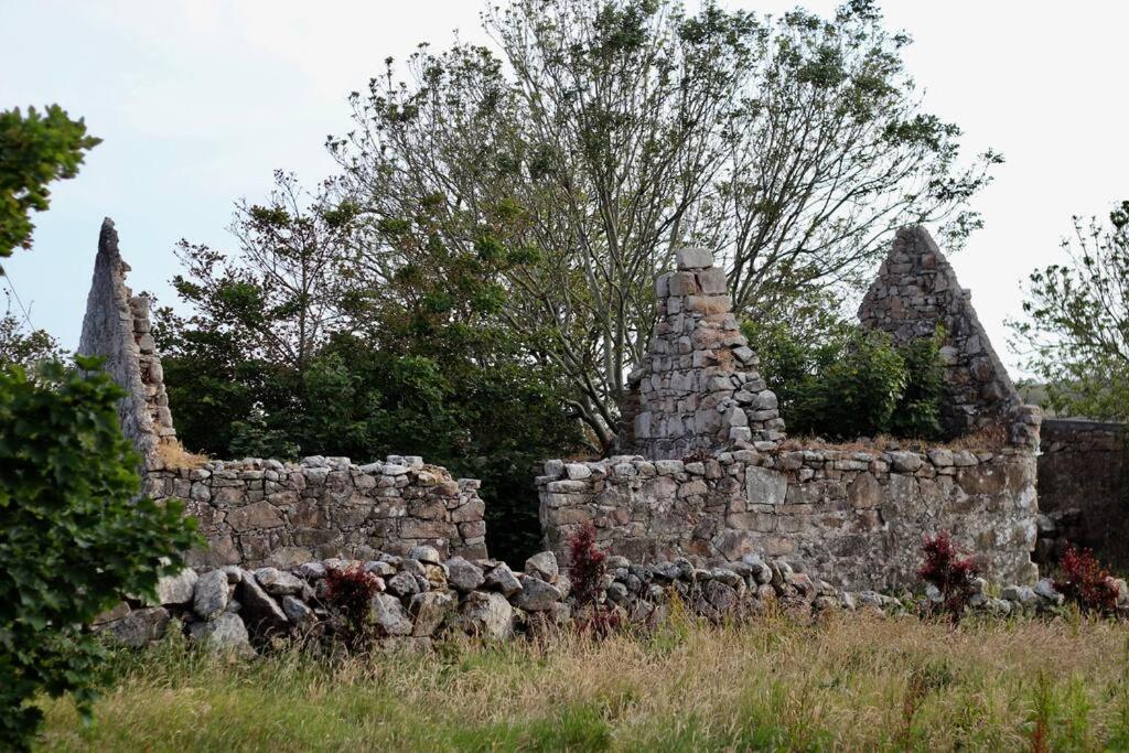 Curlews Rest - Gateway To The Aran Islands Daire Galway Dış mekan fotoğraf